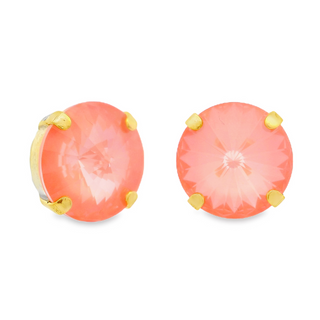 The Basics Studs in Midnight Express