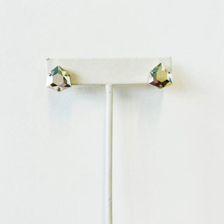 Ziv Earrings in Silver / Chrome